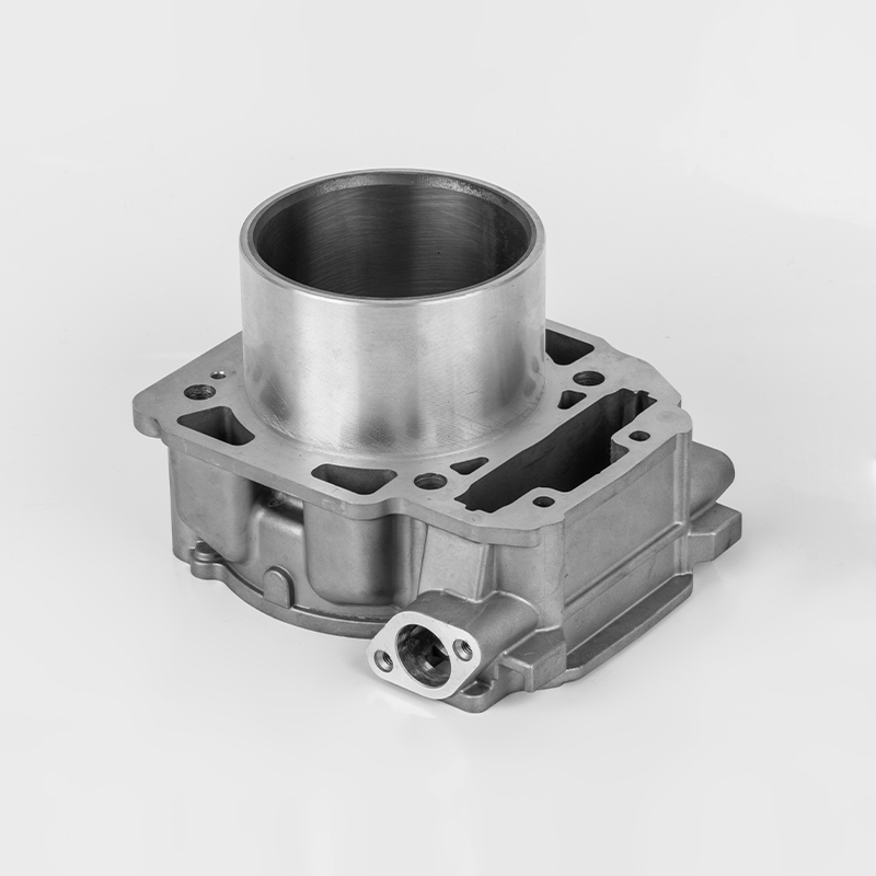 Liangzi 1000 (Φ91) Bombardier 1000 ইঞ্জিন সিলিন্ডার টেকসই সিরিজ