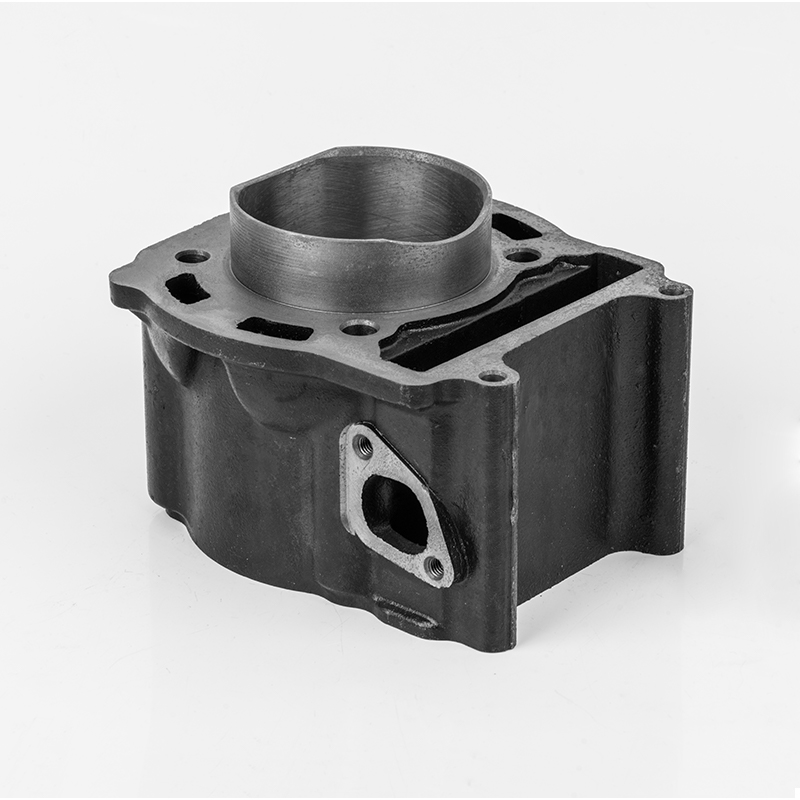 2V73 (Φ72.5) ঢালাই লোহা পরিধান-প্রতিরোধী সিলিন্ডার সিরিজ